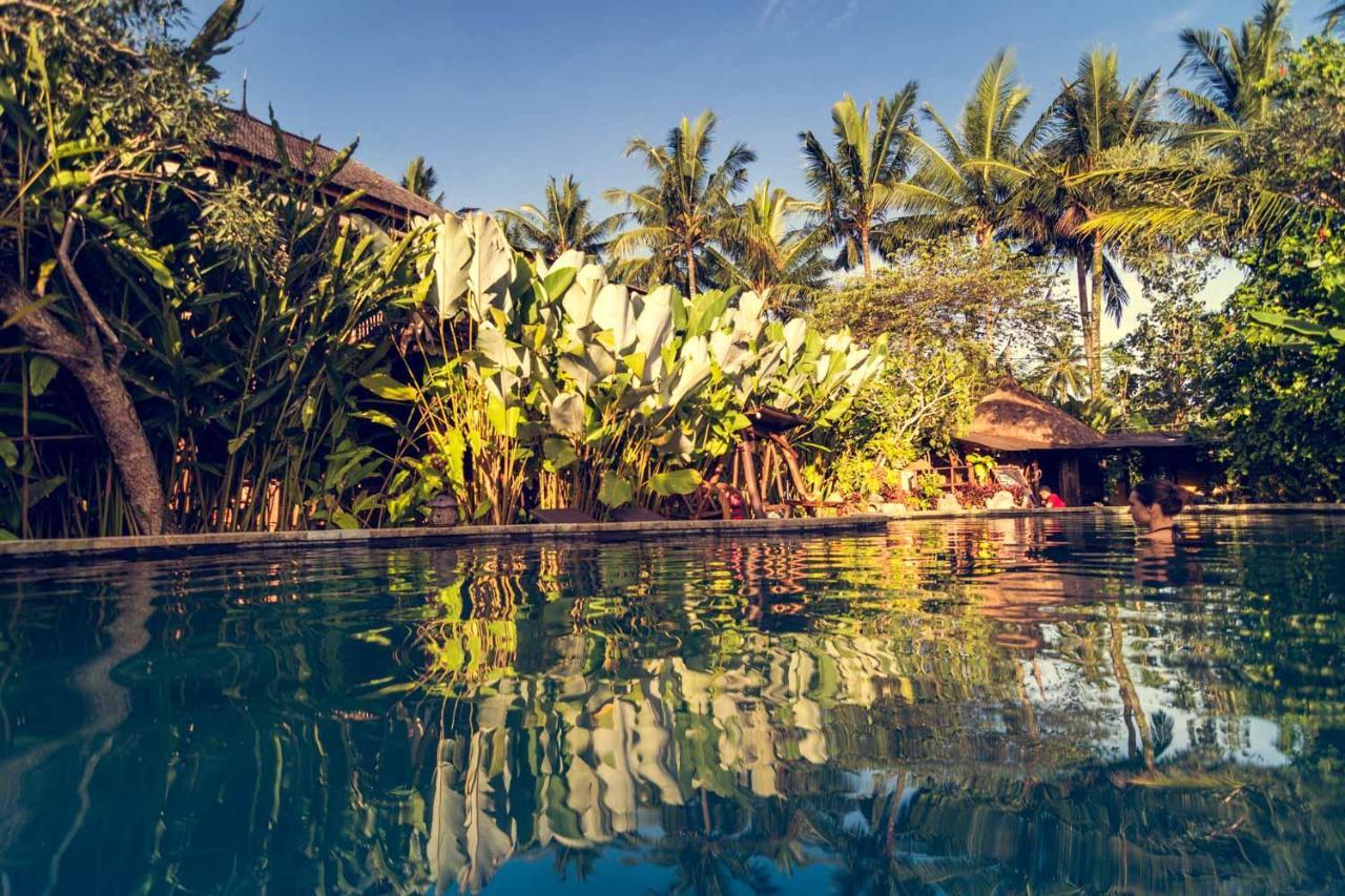 Dragonfly Village Ubud Kültér fotó