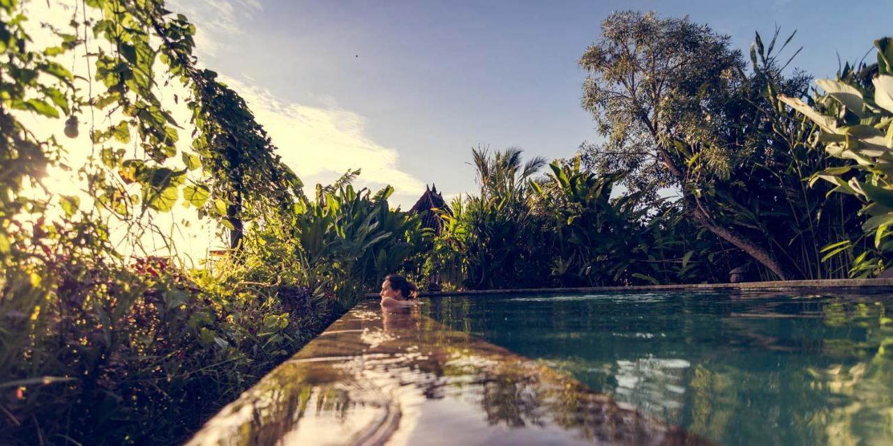 Dragonfly Village Ubud Kültér fotó