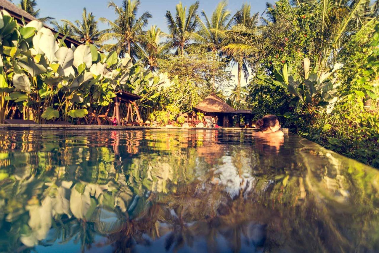 Dragonfly Village Ubud Kültér fotó