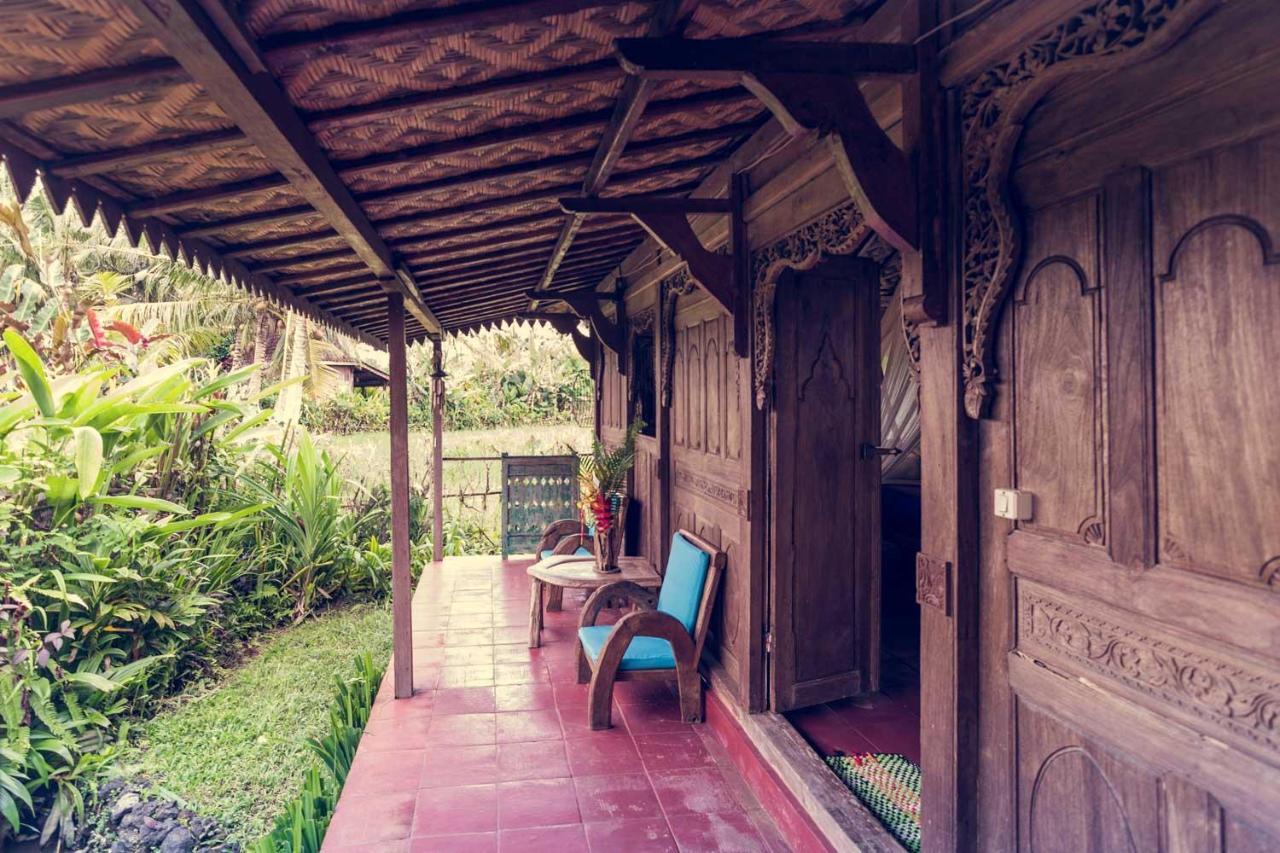 Dragonfly Village Ubud Kültér fotó