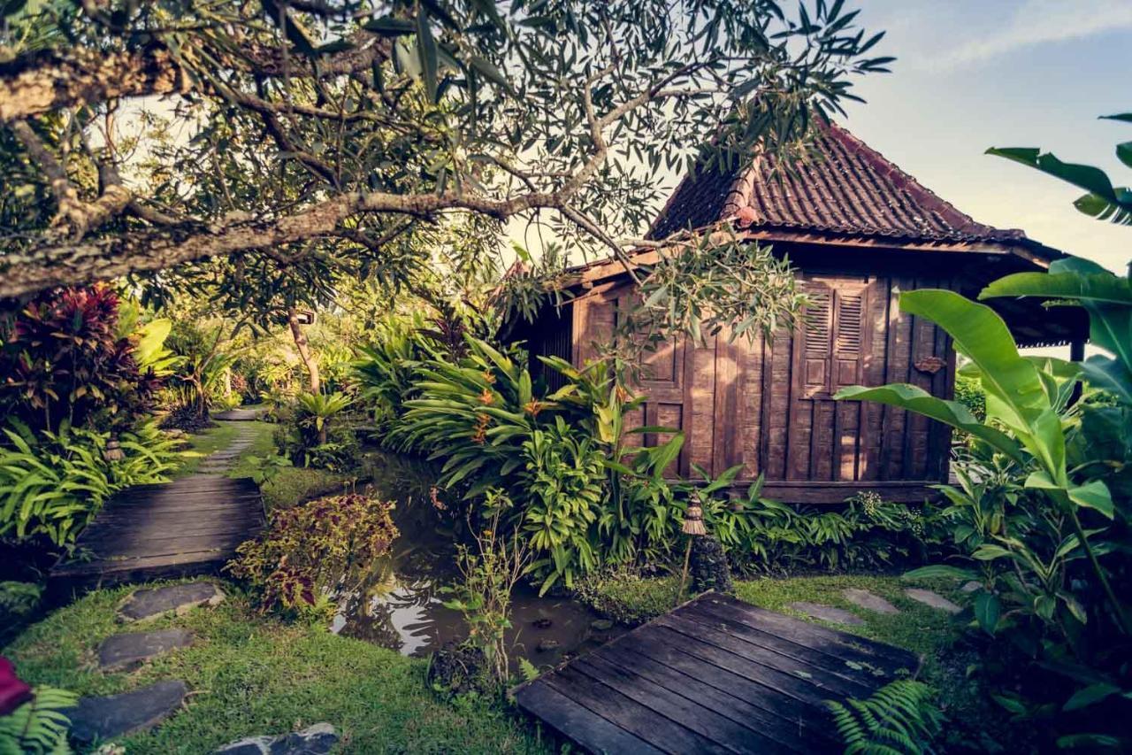 Dragonfly Village Ubud Kültér fotó