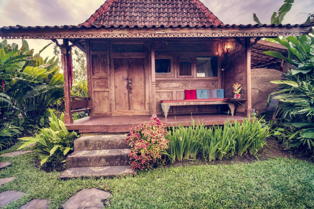 Dragonfly Village Ubud Kültér fotó