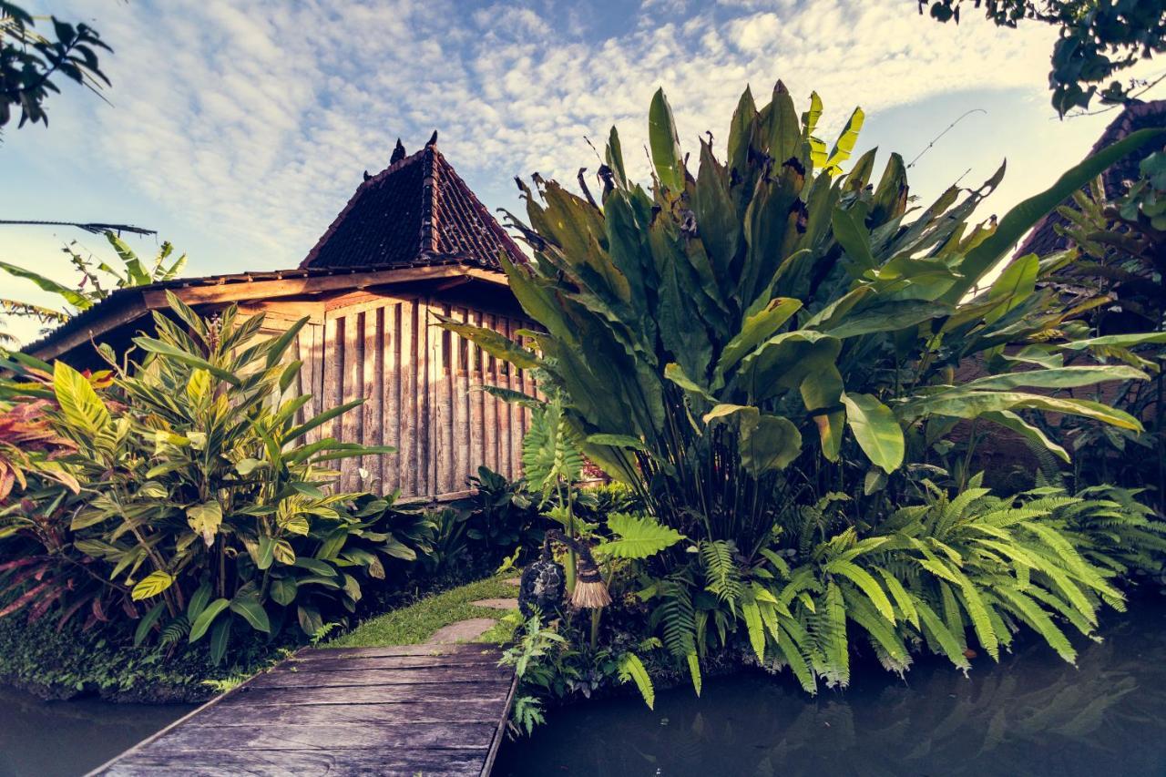 Dragonfly Village Ubud Kültér fotó