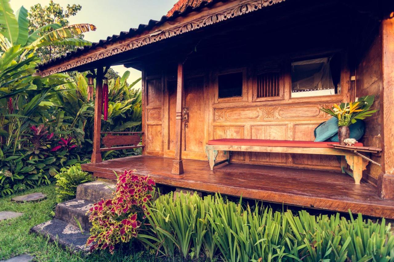 Dragonfly Village Ubud Kültér fotó