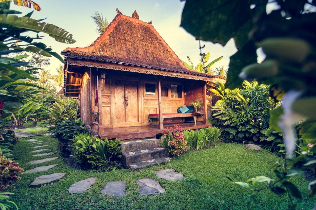 Dragonfly Village Ubud Kültér fotó