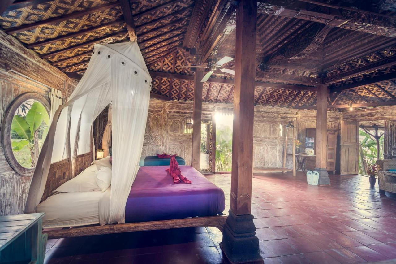 Dragonfly Village Ubud Kültér fotó
