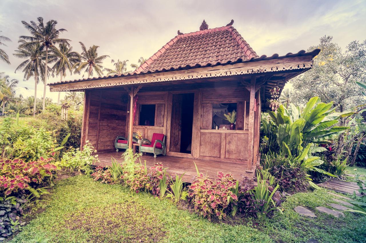 Dragonfly Village Ubud Kültér fotó