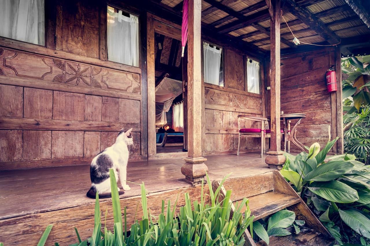 Dragonfly Village Ubud Kültér fotó