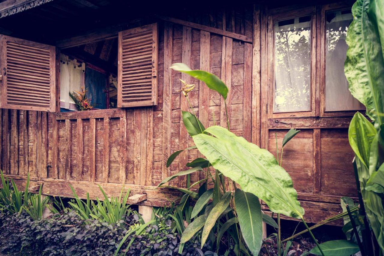 Dragonfly Village Ubud Kültér fotó