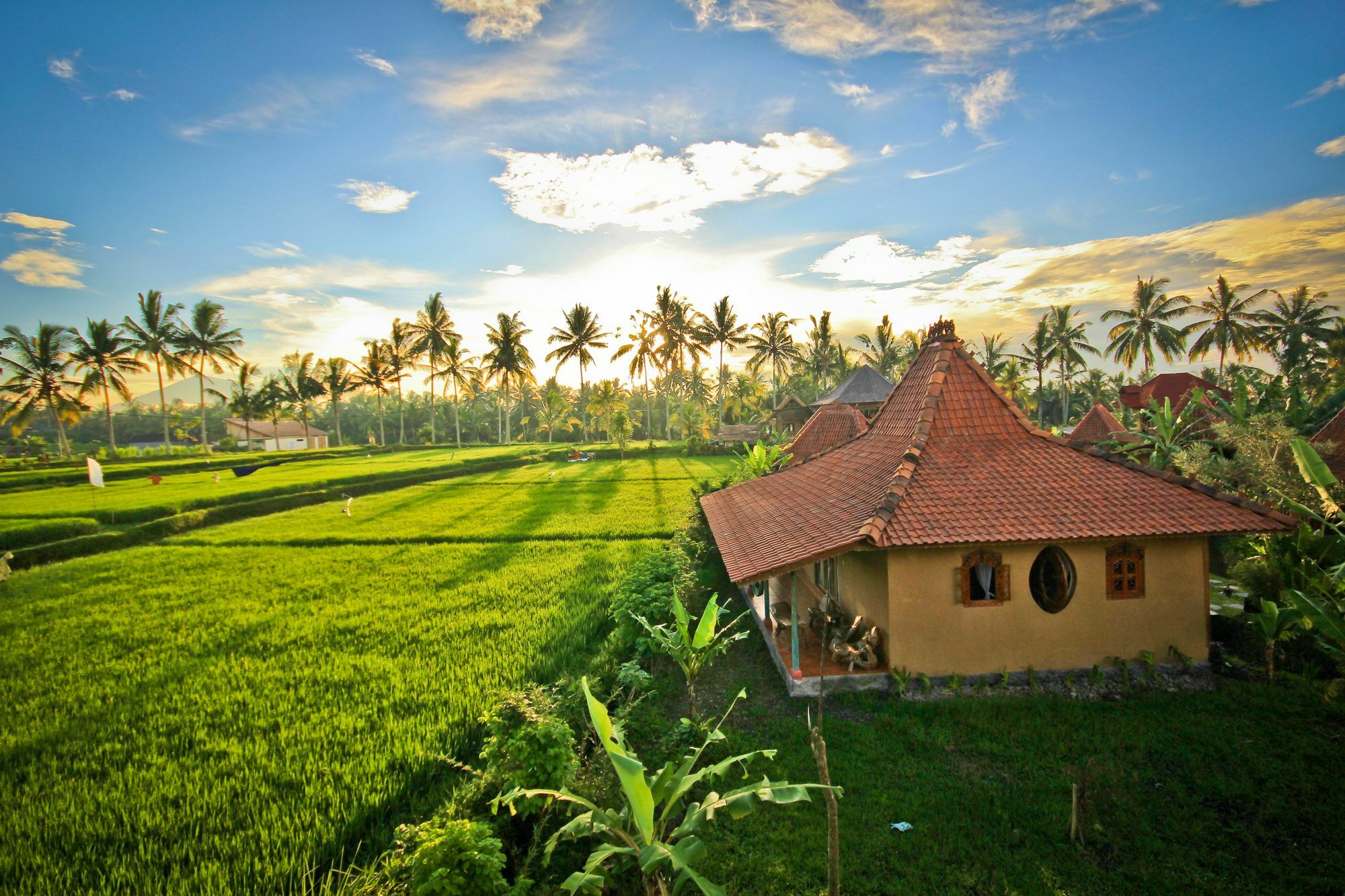 Dragonfly Village Ubud Kültér fotó