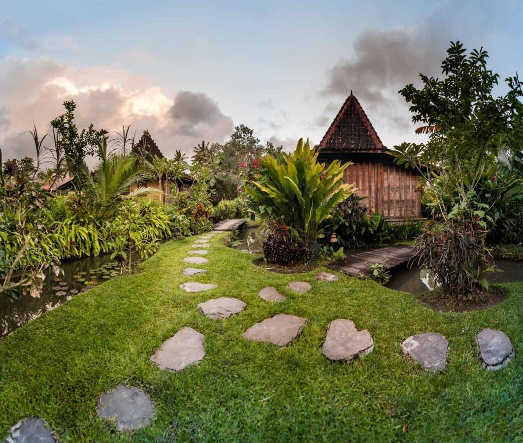 Dragonfly Village Ubud Kültér fotó
